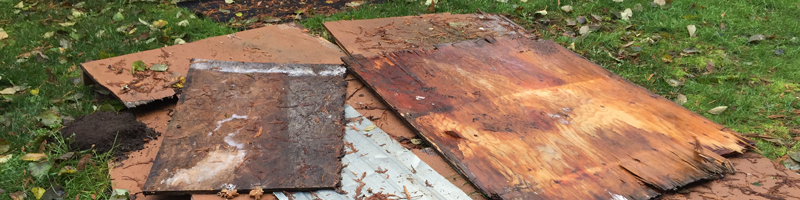 Auburn junk removal job